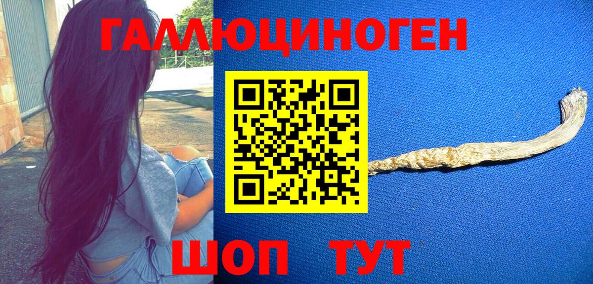 Псилоцибиновые грибы GOLDEN TEACHER Грязи